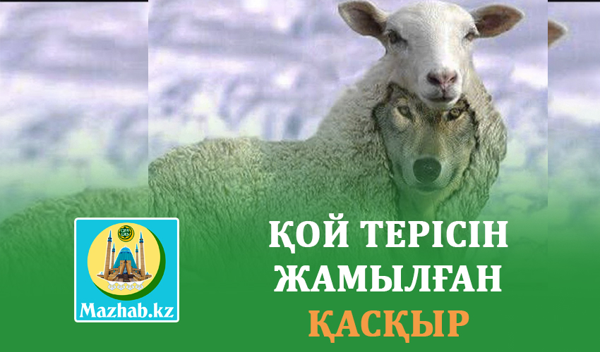 ҚОЙ ТЕРІСІН ЖАМЫЛҒАН ҚАСҚЫР