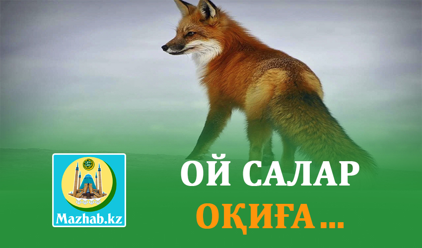 ОЙ САЛАР ОҚИҒА…