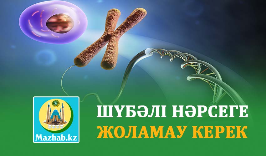 ШҮБӘЛІ НӘРСЕГЕ ЖОЛАМАУ КЕРЕК