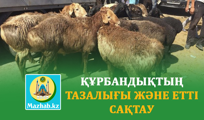 ҚҰРБАНДЫҚТЫҢ ТАЗАЛЫҒЫ ЖӘНЕ ЕТТІ САҚТАУ