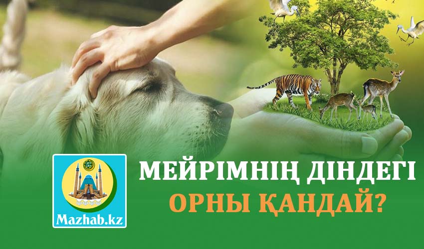 МЕЙРІМНІҢ ДІНДЕГІ ОРНЫ ҚАНДАЙ?