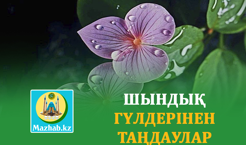 ШЫНДЫҚ ГҮЛДЕРІНЕН ТАҢДАУЛАР 