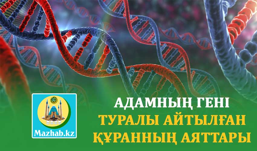 АДАМНЫҢ ГЕНІ ТУРАЛЫ АЙТЫЛҒАН ҚҰРАННЫҢ АЯТТАРЫ