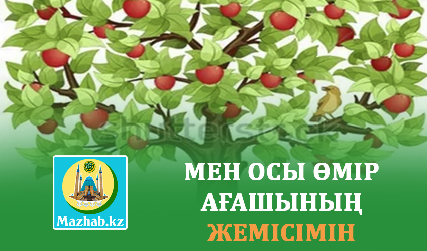 МЕН ОСЫ ӨМІР АҒАШЫНЫҢ ЖЕМІСІМІН