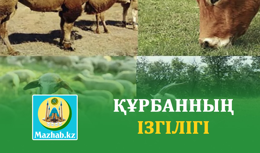 ҚҰРБАННЫҢ ІЗГІЛІГІ