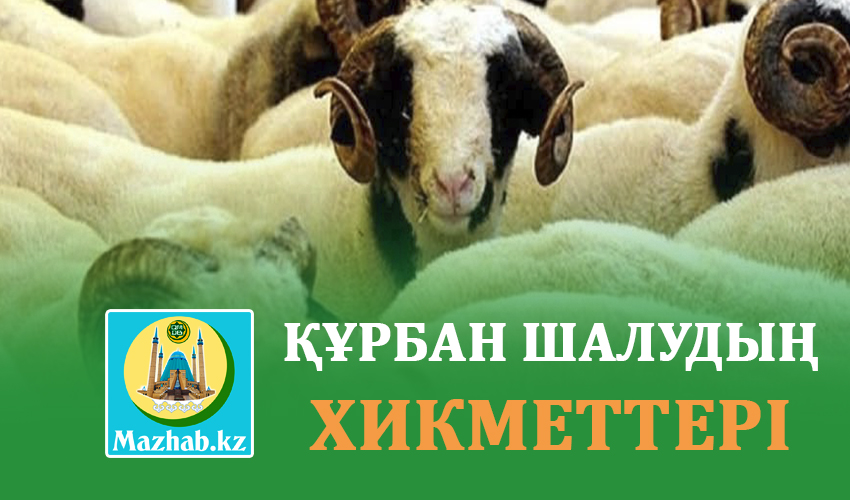 ҚҰРБАН ШАЛУДЫҢ ХИКМЕТТЕРІ