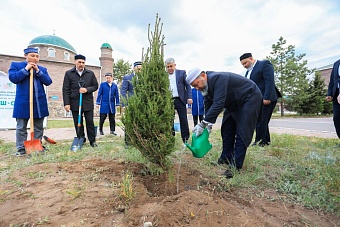 НАУРЫЗБАЙ ҚАЖЫ ТАҒАНҰЛЫ МЕДРЕСЕ АУЛАСЫНА АҒАШ ЕКТІ