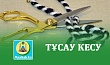 ТҰСАУ КЕСУ