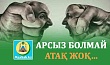 АРСЫЗ БОЛМАЙ АТАҚ ЖОҚ…
