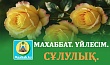 МАХАББАТ. ҮЙЛЕСІМ. СҰЛУЛЫҚ.