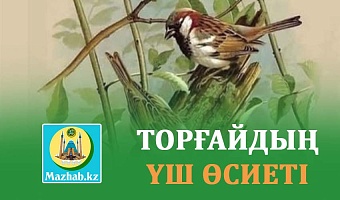 ТОРҒАЙДЫҢ ҮШ ӨСИЕТІ 