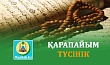 ҚАРАПАЙЫМ ТҮСІНІК